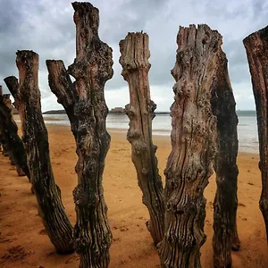 https://hotel-la-cote-demeraude.inbrittany.com